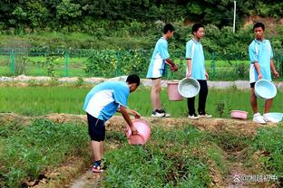 英媒更新热刺伤停情况：罗梅罗解禁，戴尔伤愈复出